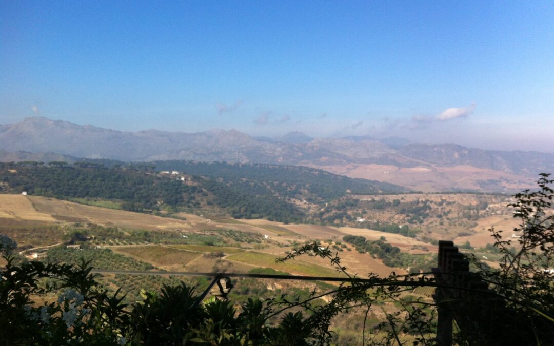 Ronda (8)