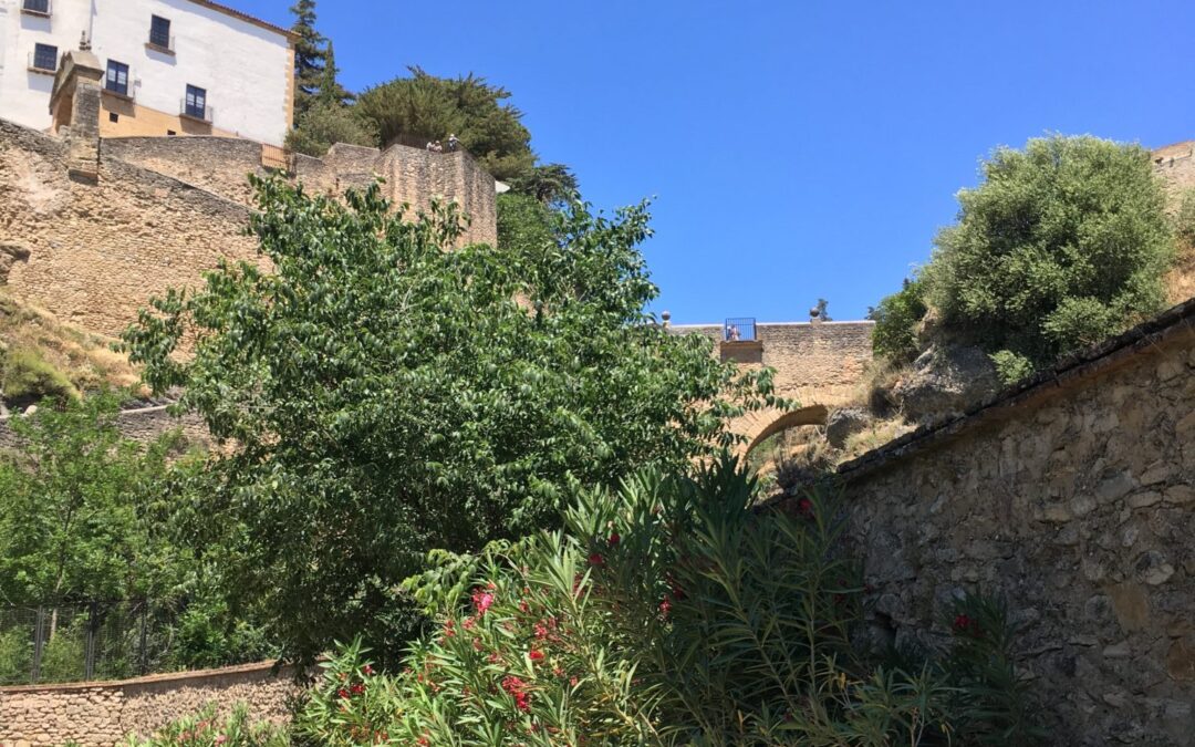 Ronda høj solskin maj 2017 (22)