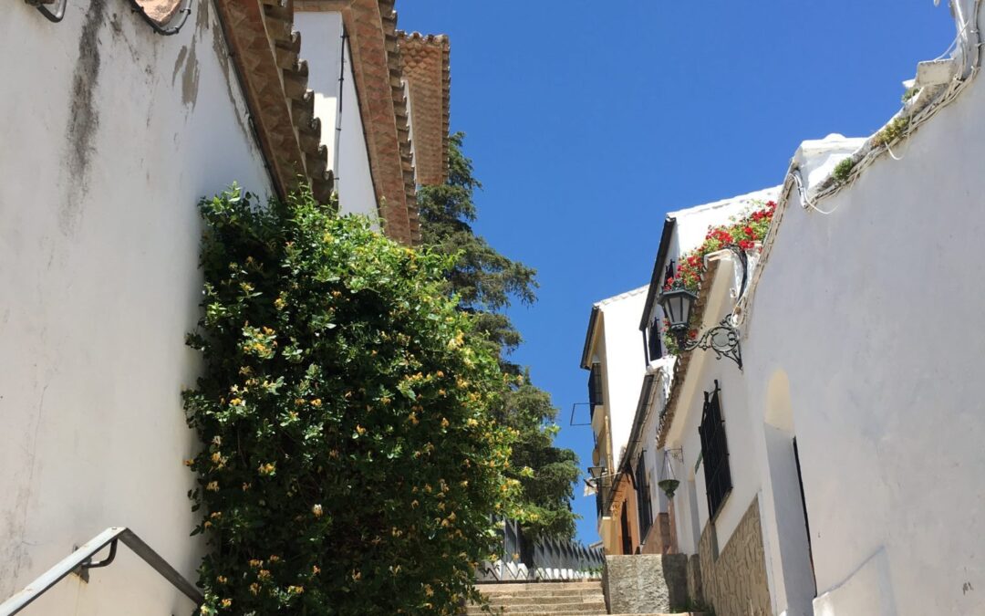 Ronda høj solskin maj 2017 (31)